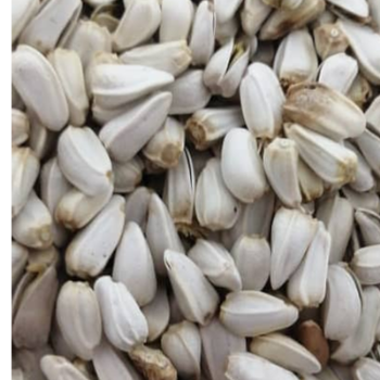 خسدونه بسته بومی (گاودانه)
